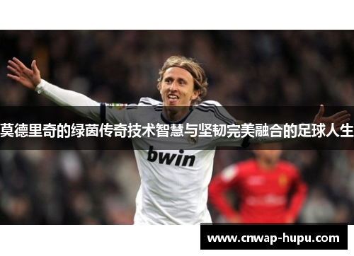 莫德里奇的绿茵传奇技术智慧与坚韧完美融合的足球人生